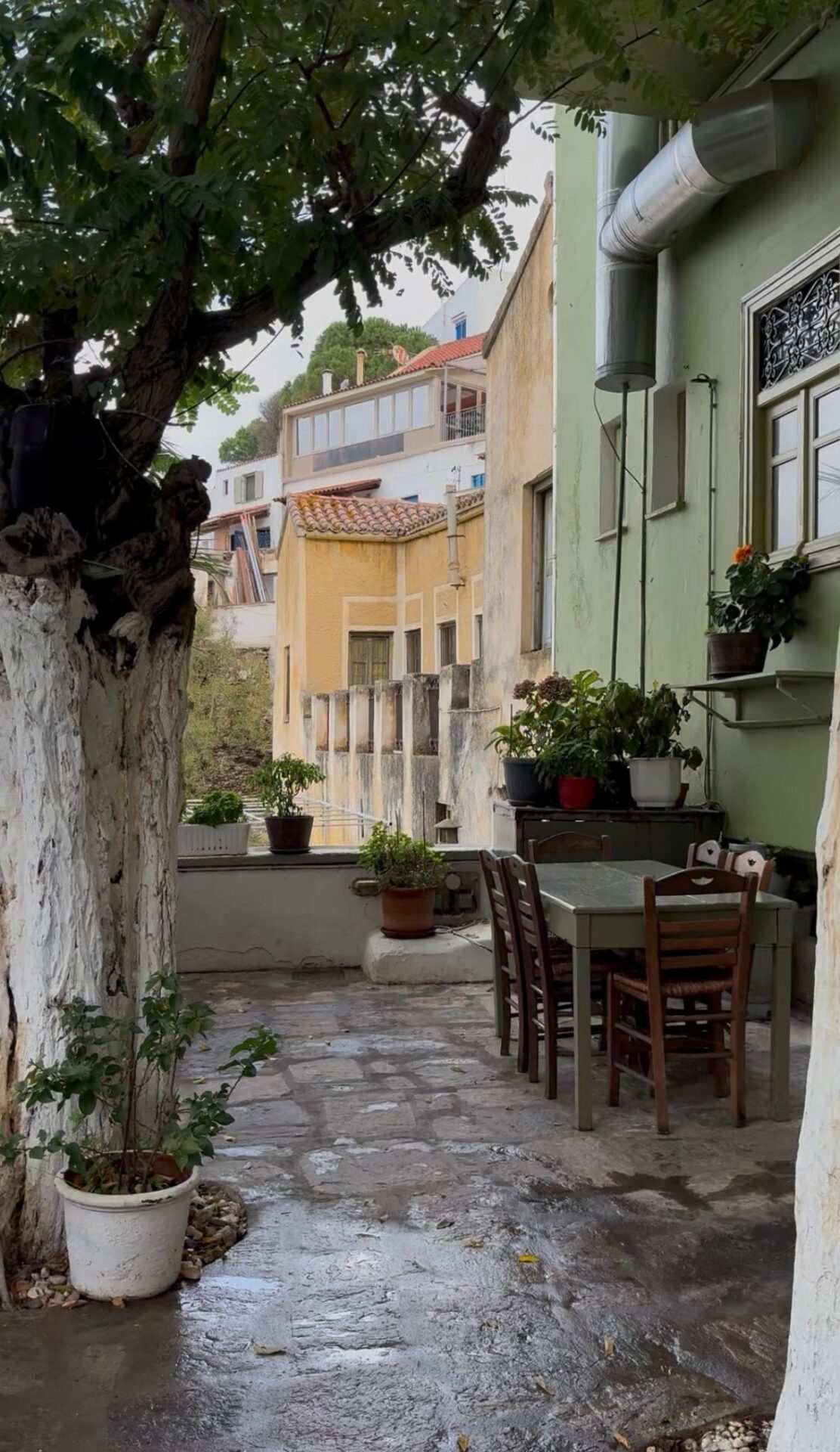 In a greek restaurant being inspired by the ancient beauty.